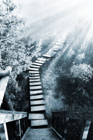 Steps to Entrepreneurship